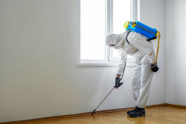 Best Best Pest Control Companies  in Leechburg, PA