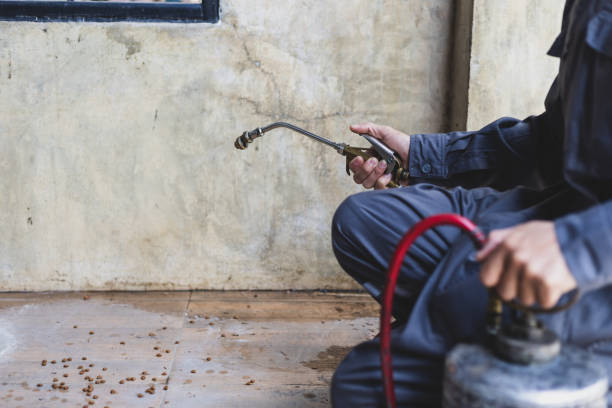 Best Termite Control Services  in Leechburg, PA